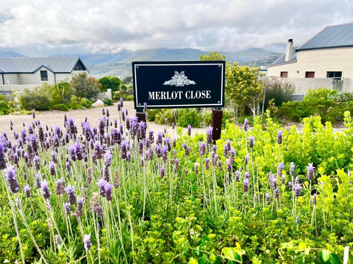 No2 Merlot Cape Town Bagian luar foto